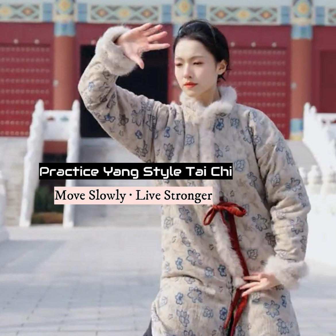 Yang Style Tai Chi: Complete Instruction from Basics to Advanced(1-26 Chapters)