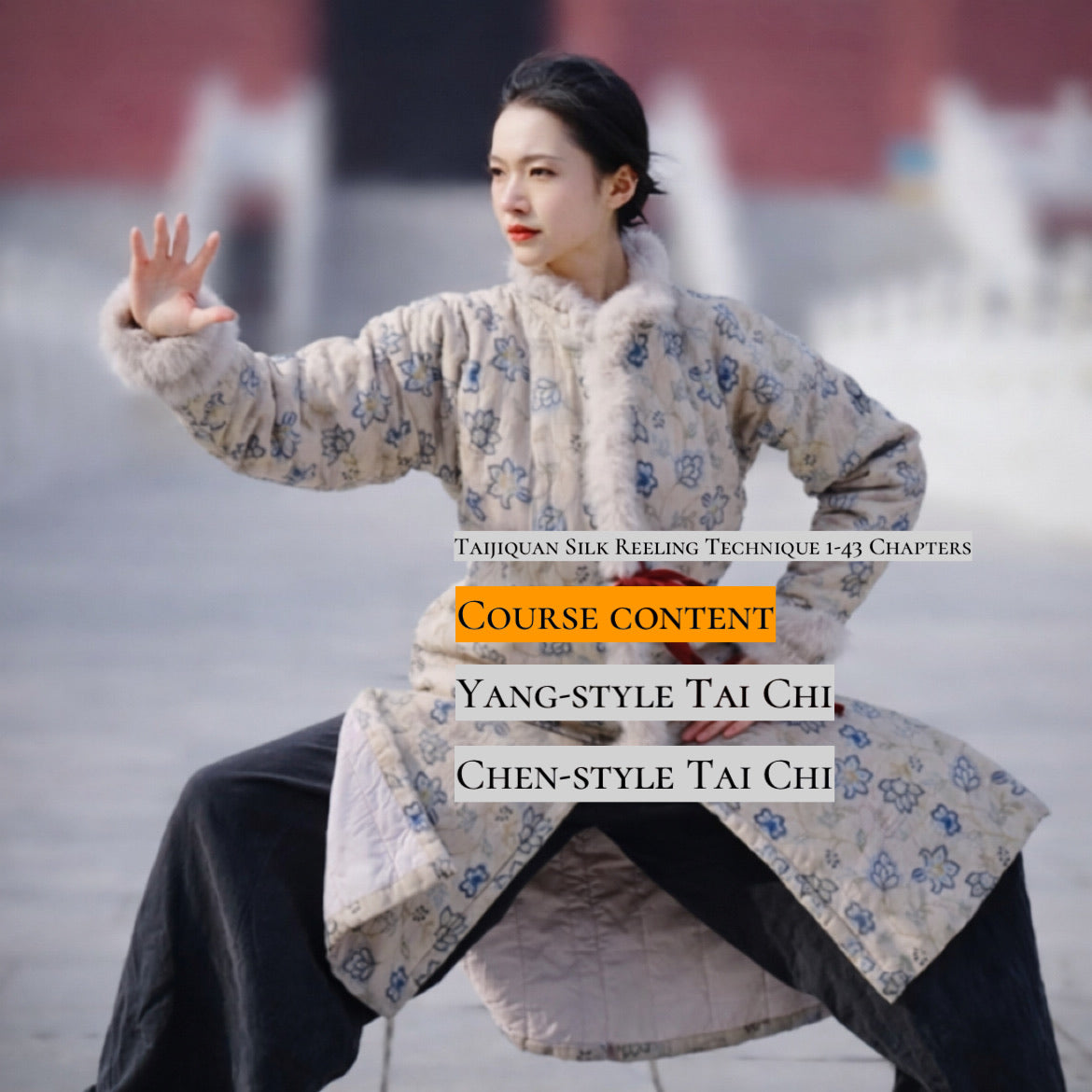 Taijiquan Silk Reeling Technique 1-43 Chapters