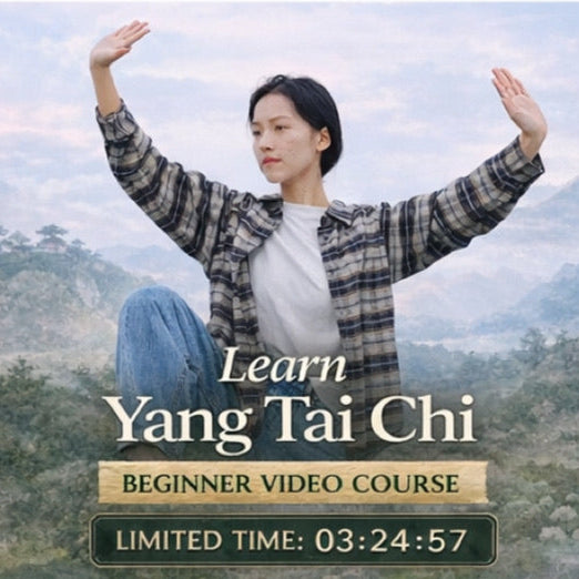 Yang Style Tai Chi: Complete Instruction from Basics to Advanced（1-26 Chapters）