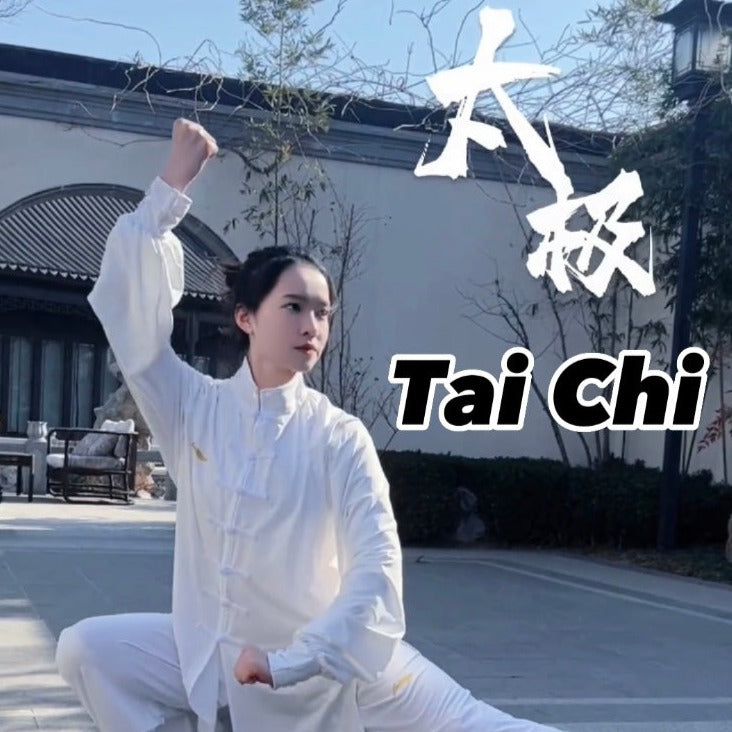 Chen-style Tai Chi  1-29 Chapters