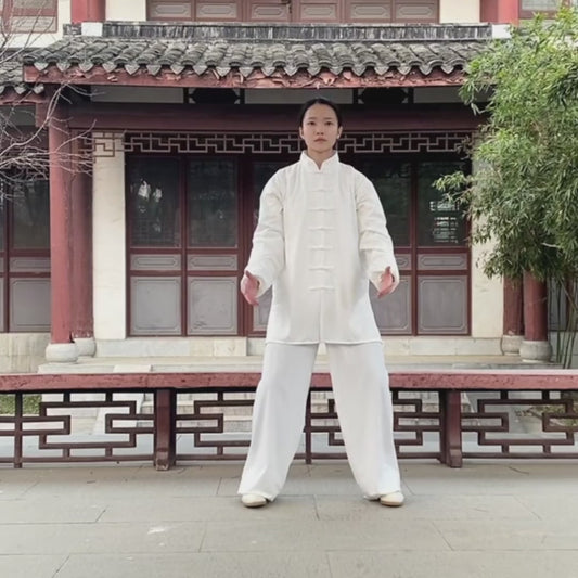 Taijiquan Silk Reeling Technique 1-43 Chapters